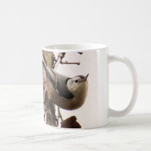 Taza de café Blanca-breasted del trepatroncos