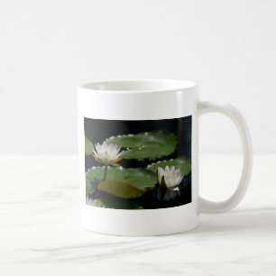 Taza De Café Blanqueador de agua