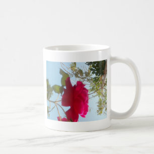Taza De Café Bloom celestial: Un Rosa contra el cielo