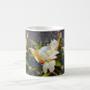 TAZA DE CAFÉ BLOQUE NOCTURNO DE DRAGÓN POLINESIO