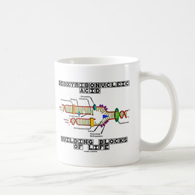 Taza De Café Bloques huecos del ácido desoxirribonucléico de la (Derecha)
