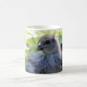 Taza De Café Bluebell