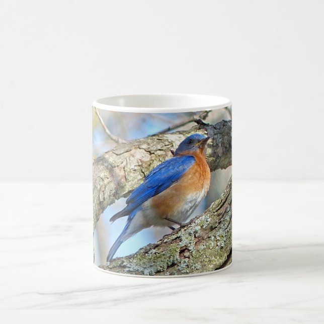 Taza De Café Bluebird Coffee Mug (Centro)