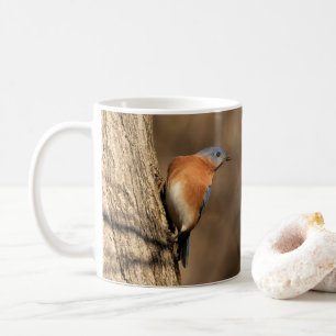 Taza De Café Bluebird, Sideways Glance
