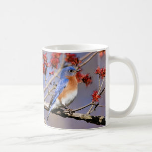 Taza de café Bluebirds III por BirdingCollectibles