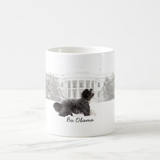 Taza De Café Bo Obama (Centro)