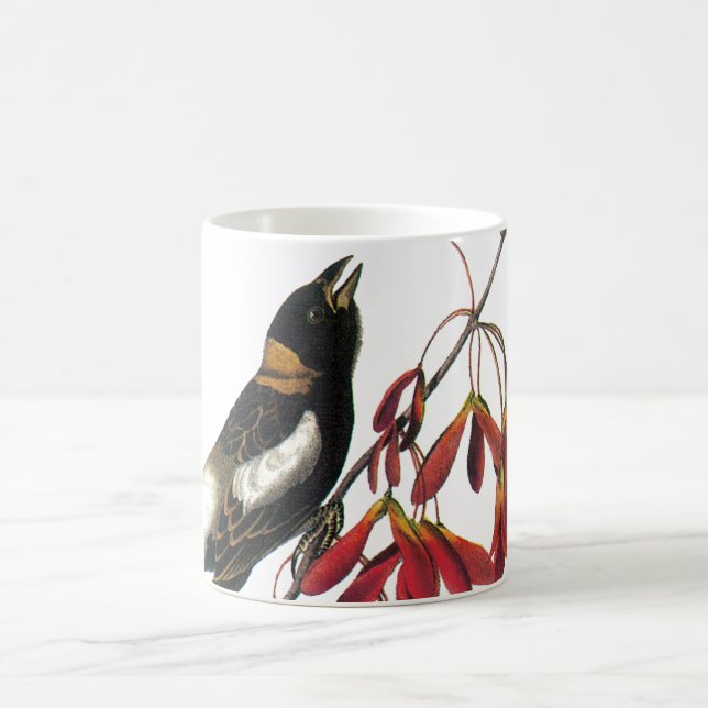 Taza De Café Bobolink por Audubon (Centro)
