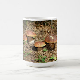 Taza De Café boletus