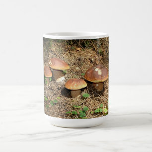 Taza De Café boletus