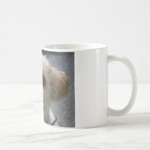 Taza De Café boloñés
