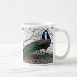 TAZA DE CAFÉ BOLSA DE CAFÉ CON IMAGEN DE PEACOCK