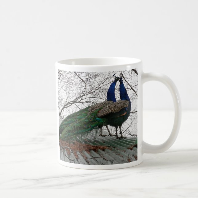 TAZA DE CAFÉ BOLSA DE CAFÉ CON IMAGEN DE PEACOCK (Derecha)
