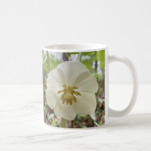 Taza De Café Bomba de flores de primavera blanca