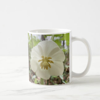 Taza De Café Bomba de flores de primavera blanca