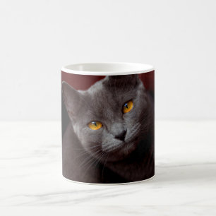 Taza De Café Bonito chartreux