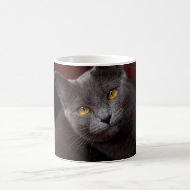 Taza De Café Bonito chartreux (Centro)