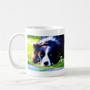 Taza De Café Border collie