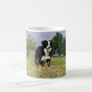 Taza De Café border collie 3.png lleno