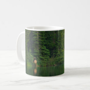 Taza De Café Bosques Elk en el Parque Nacional Banff Alberta