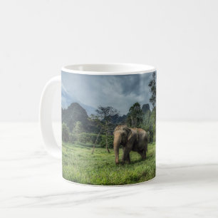 Taza De Café Bosques   Parque nacional Kao Sok