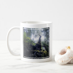 Taza De Café Bosques   Parque rural de Anaga Islas Canarias