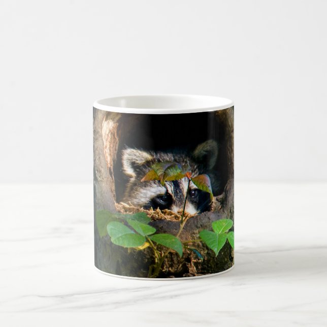 Taza De Café Bosques | Raccoon Peeking (Centro)
