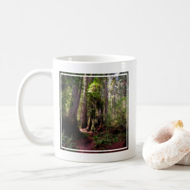 Taza De Café Bosques | Redwood Forest California (Con donut)