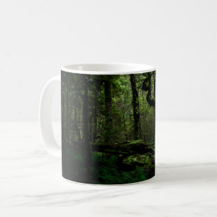 Taza De Café Bosques   Routeburn Track Fiordland Parque naciona