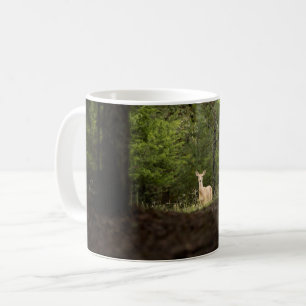 Taza De Café Bosques Un ciervo blanco en el bosque