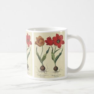 Taza De Café Botánica antigua, flores de tulipanes en flor y bu
