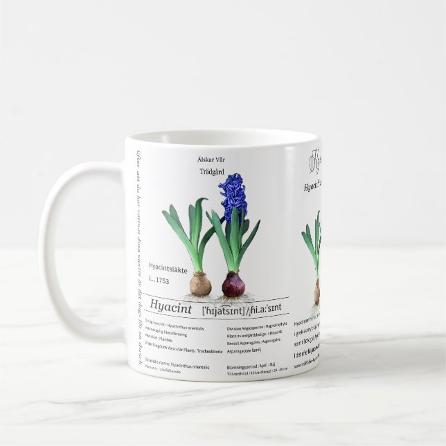 Taza De Café Botanical mug Hyacinth in my garden.  (Izquierda)