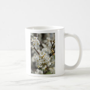 Taza De Café Bradford Select Focus
