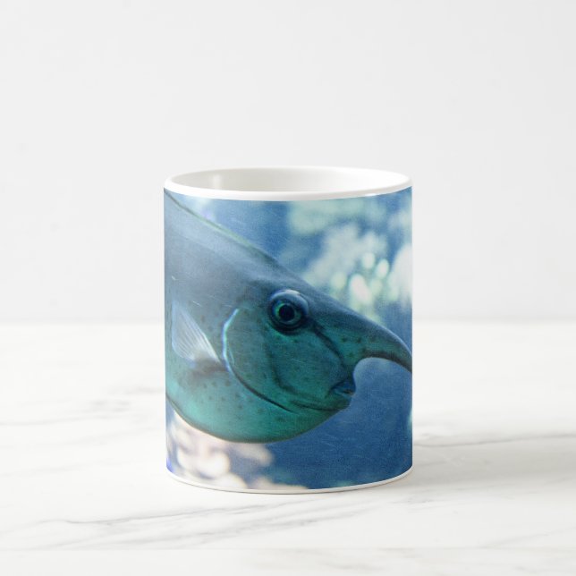 Taza De Café Brevirostris de Naso (Centro)