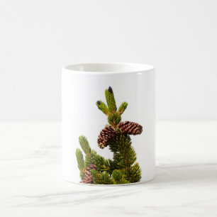 Taza De Café Bristlecone Pine