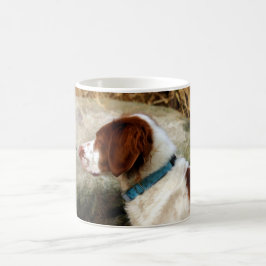 Taza De Café Brittany Spaniel