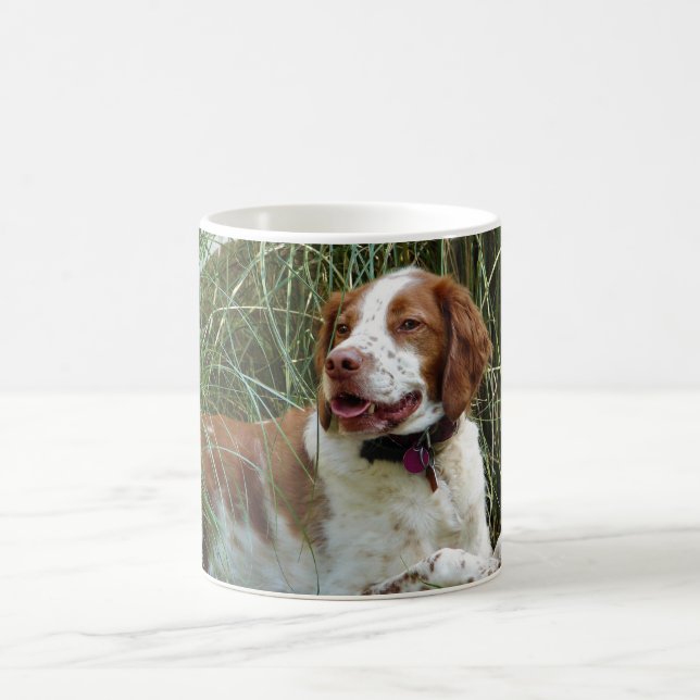 Taza De Café Brittany Spaniel Mug (Centro)