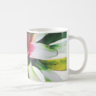 Taza De Café Bromeliad