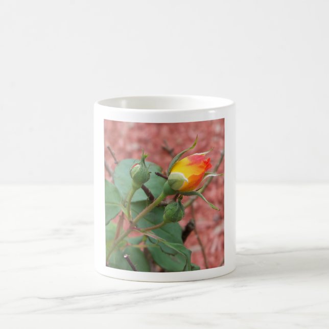 Taza De Café brote de rosa amarillo y naranja (Centro)