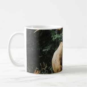 TAZA DE CAFÉ BROWN DEER ON GREEN GRASS DURANTE EL DÍA