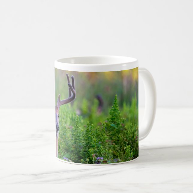 Taza De Café Buck in meadow (Anverso derecho)