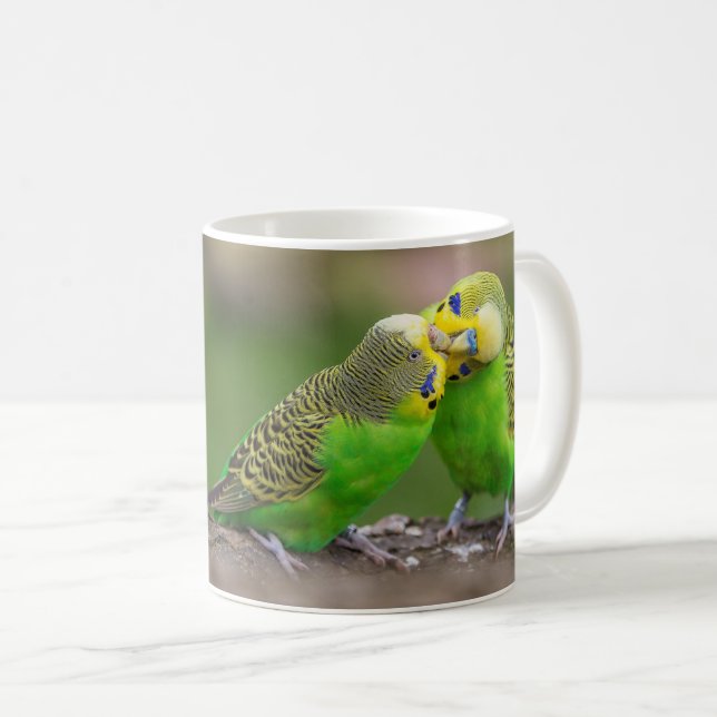 Taza De Café Budgerigar (Anverso derecho)