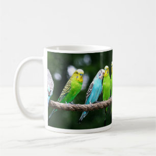 Taza De Café Budgies colorido