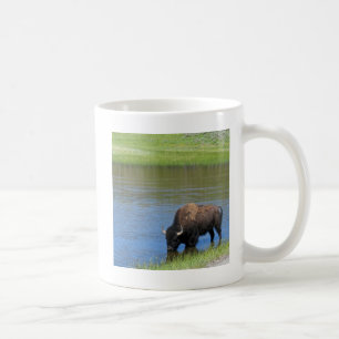 Taza De Café Búfalo salvaje de piedra amarilla en estanque