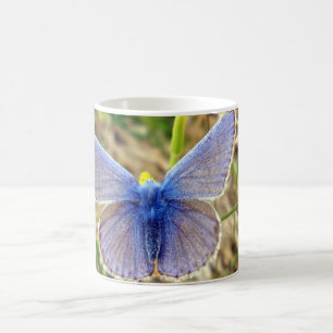 Taza De Café Bug Bug Bug Mug