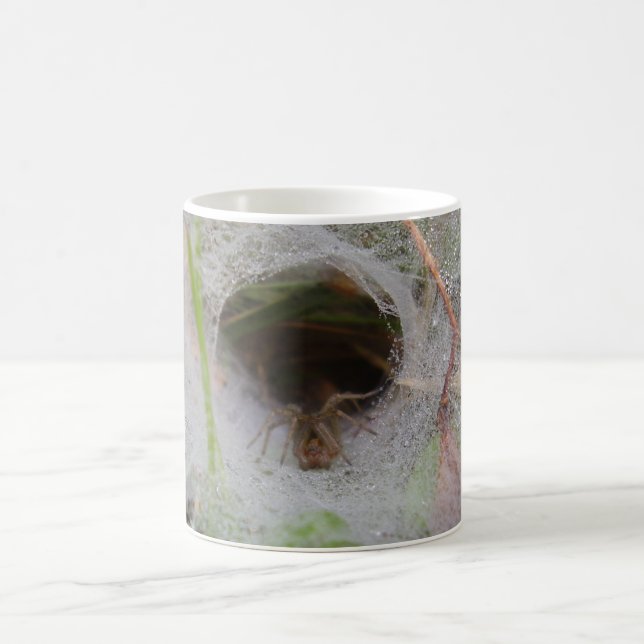 Taza De Café Bug Mug de la Web Spider del embudo europeo (Centro)