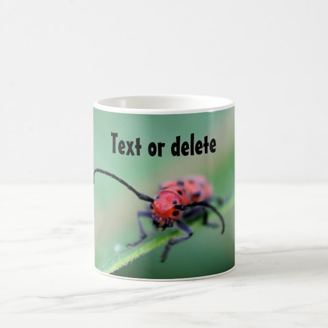Taza De Café Bug With Attitude Funny Personalized (Centro)