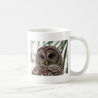 Taza De Café Búho barrado