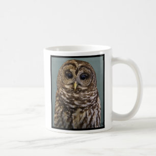 Taza De Café Búho barrado