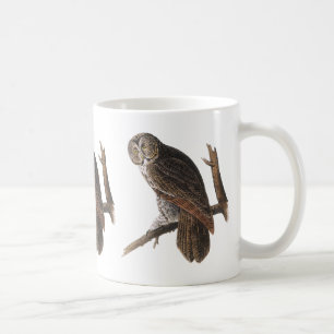 Taza De Café Búho de gran gris