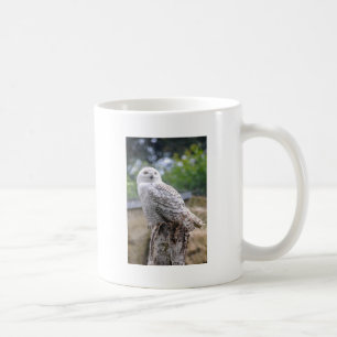 Taza De Café Búho de nieve